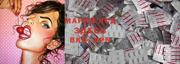 спиды Михайлов