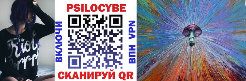 Псилоцибиновые грибы Psilocybe  ОМГ ОМГ ТОР  Ачхой-Мартан  где можно купить  